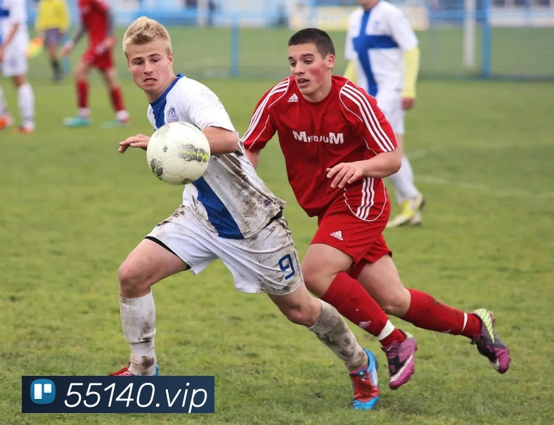 太阳城官方网站平台生态图